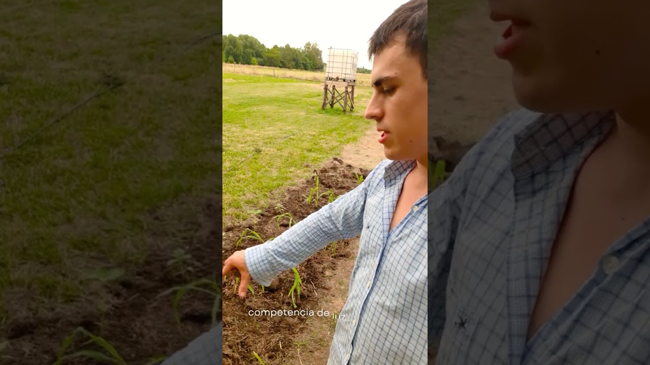 EN LA HUERTA HOY: ¿QUÉ AGREGAMOS DE NUEVO?🤔