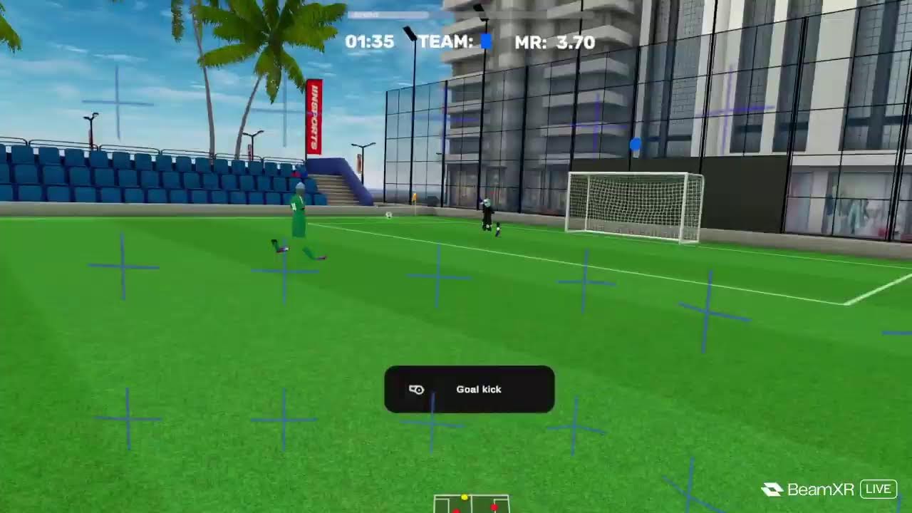playing vrfs