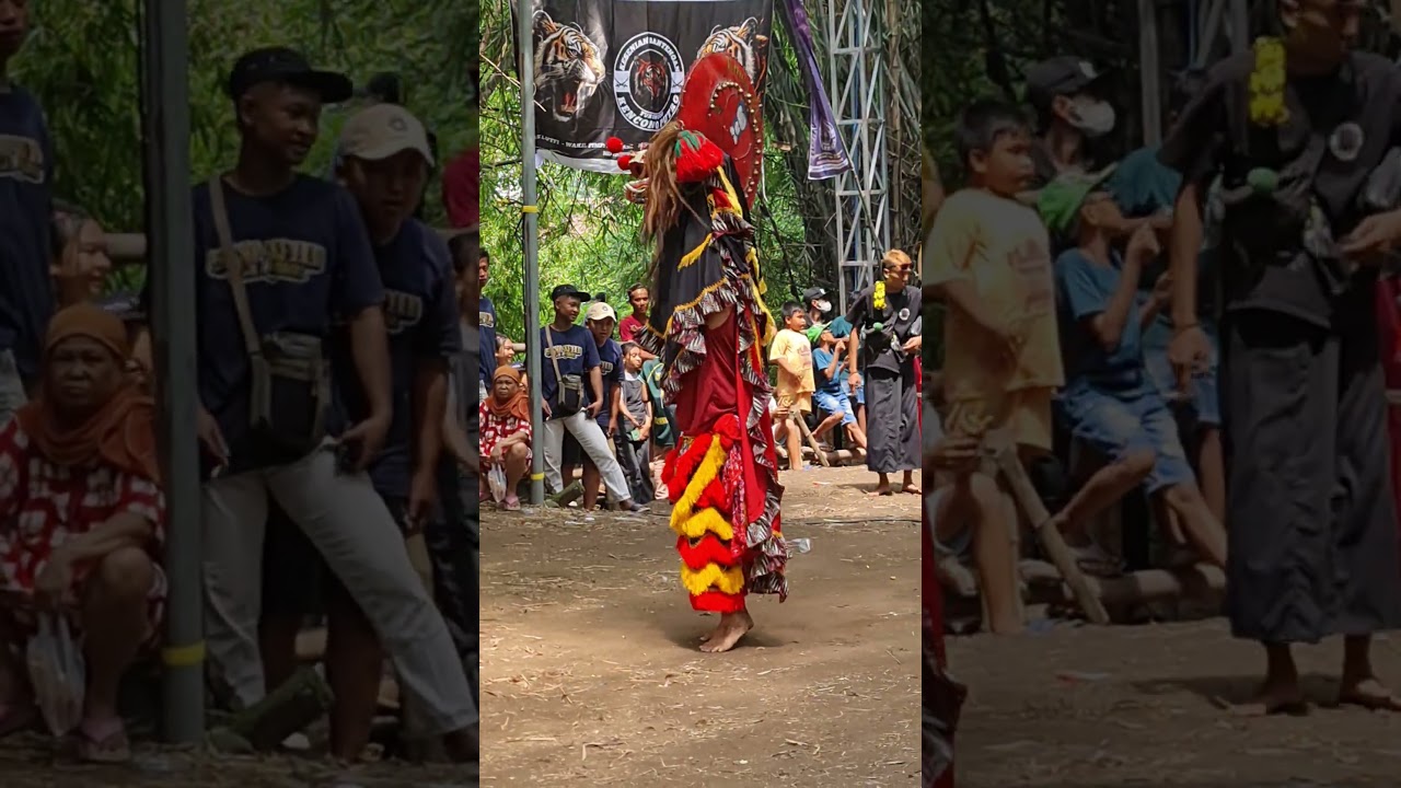 tari barongan tidur jaranan kbn. #bantengan #djbantengan #bantengankreasi
