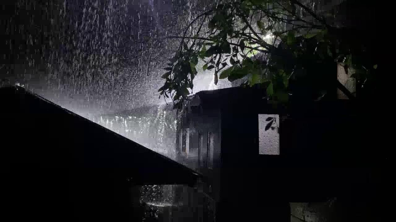 Rain Sounds for Sleeping 🌧️ Heavy Tin Roof Rain