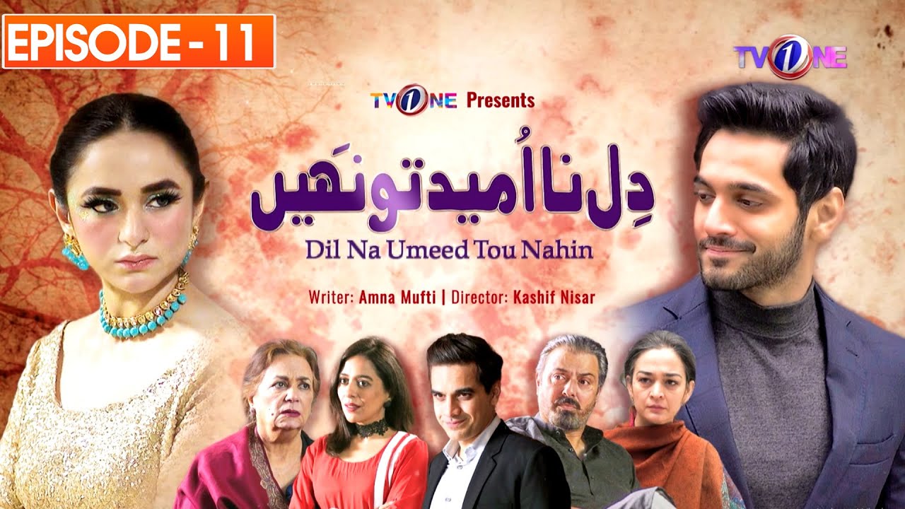 Dil Na Umeed Toh Nahin  Episode 11-Pakistani Drama | Yumna Zaidi| Wahaj Ali | 1 November 2024| TVONE