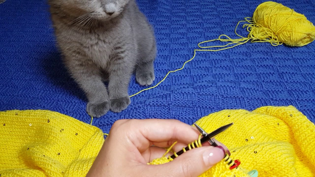 Росток. Вязание снизу вверх регланом с помощником! 😻
