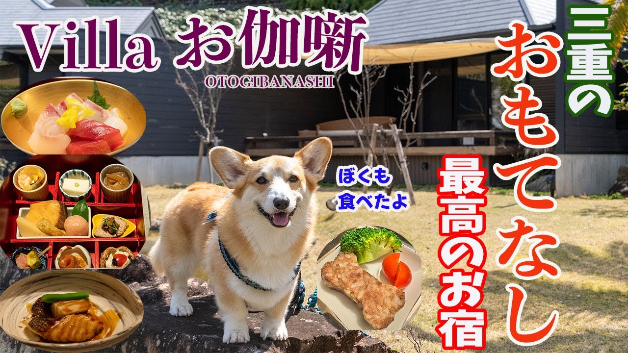 【Villa お伽噺】ユニバーサルスイートのお部屋とお宿が贅沢すぎて、お部屋の温泉も料理も満喫で帰りたくなかったコーギーと飼い主