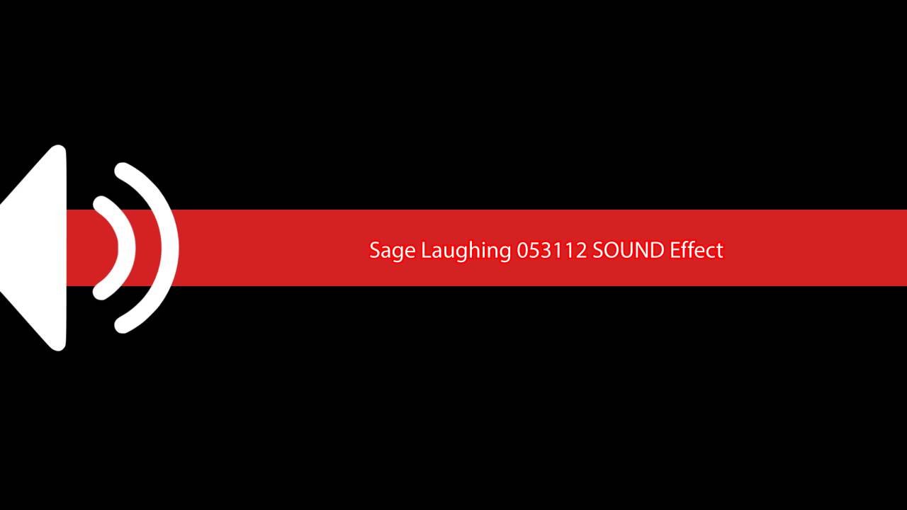 Sage Laughing 053112 SOUND Effect