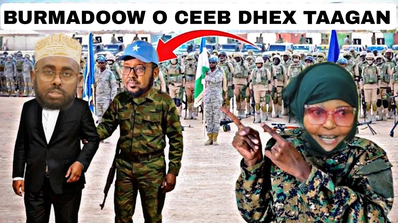 DEG DEG DAWO FADUMO IBRAHIM O BURMADOOW KABAHA LA DULMARTAY DHULBAHANTE WEERARI MEYNO DAGAL MARABNO 