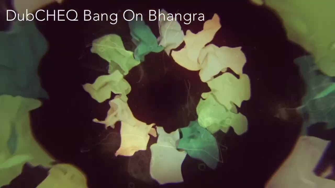 DubCHEQ - BANG ON BHANGRA #edm #electronicnusic #electronicdancemusic #dubcheq