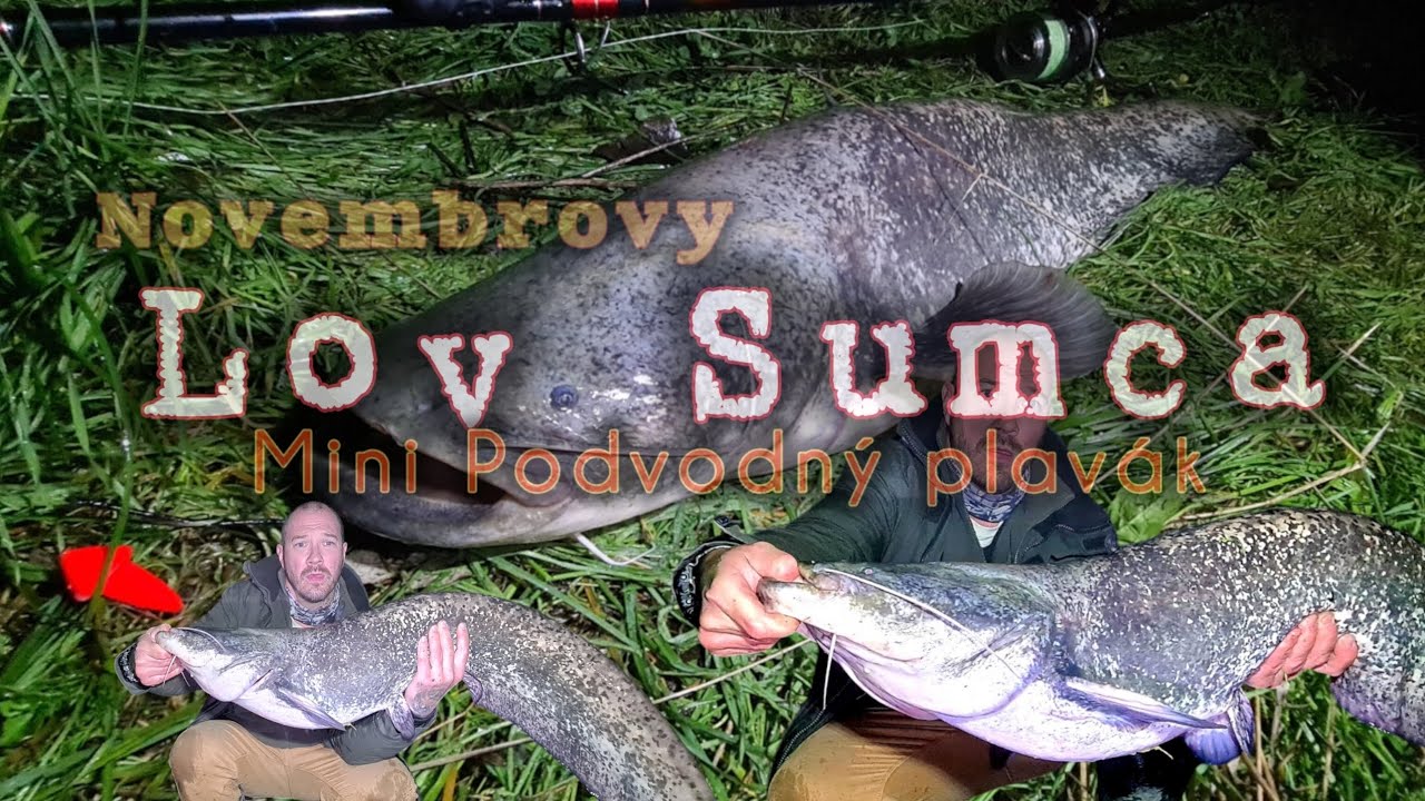 Lov Sumca na 5g Mini Podvodn&yacute; Plav&aacute;k/ Lov Sumca v Novembri/Lov Sumce v Listopadu/Varenie🥣👨&zwj;🍳