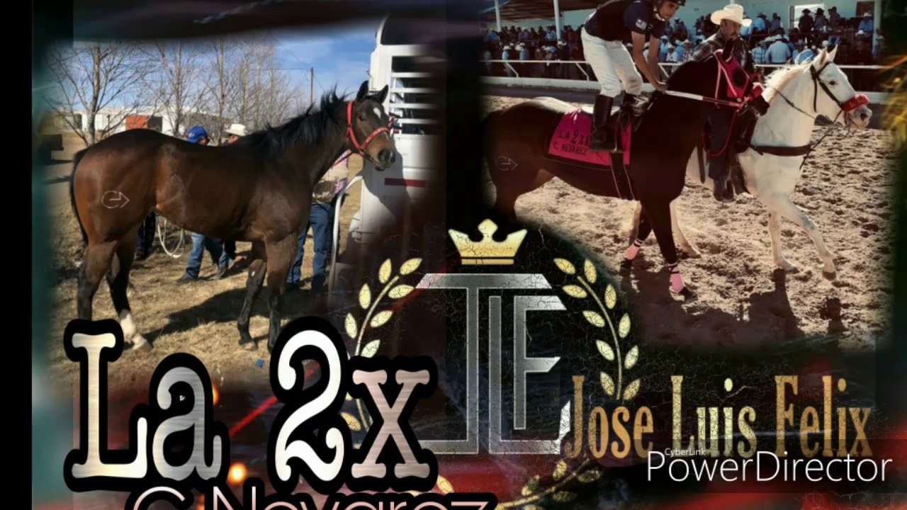 La 2X C. Nevarez - El Gordo Felix - 2019
