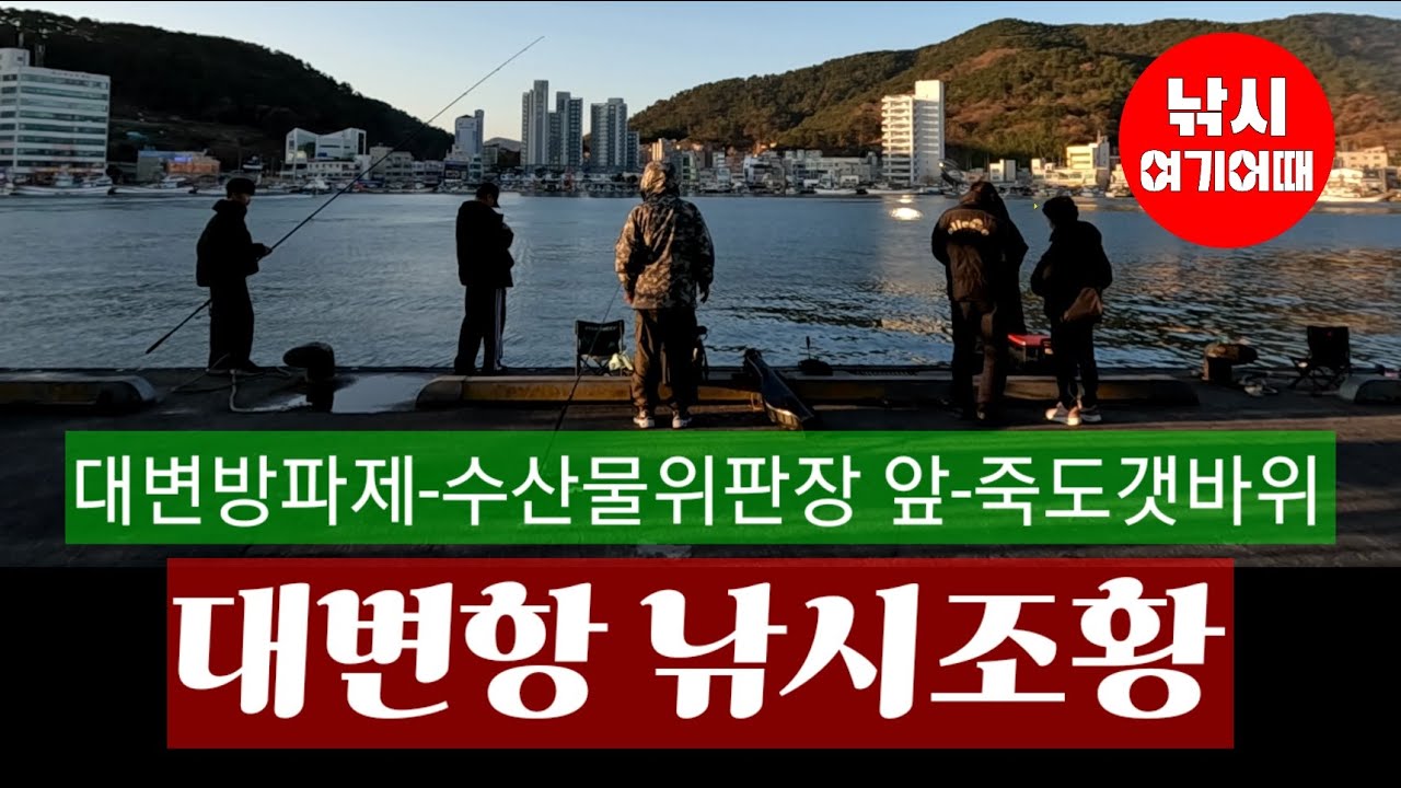 부산기장권 생활낚시 랜드마크 대변항에서 주말에 낚시를 즐기는 장면과 낚시조황/부산기장권방파제갯바위낚시조황/낚시여기어때