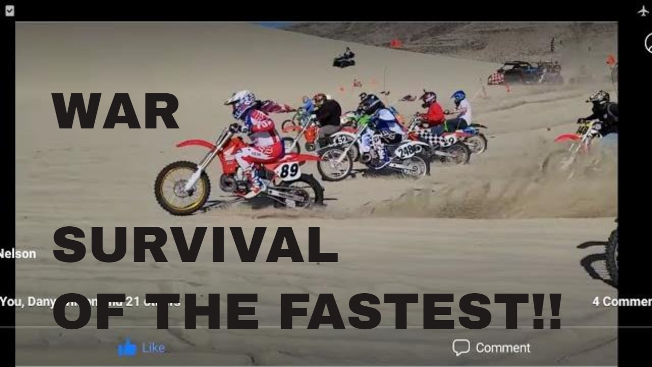 DYNO WARS 96 HONDA CR 250 VS 2006 SUZUKI RM250 VS 2016 2 HUSQVARNA 2 STROKE 250 SHOOTOUT PART 1
