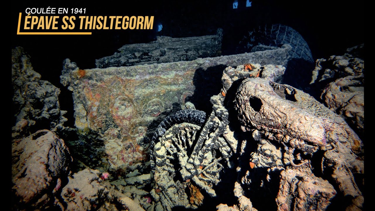 Plongée Epave SS THISTLEGORM (-32m) - Egypte - Parmis l'une des plus belles épaves au monde. 4K