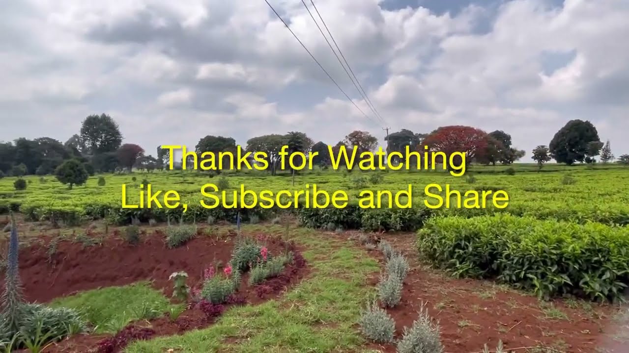 Nairobi’s Sensory Garden Tour