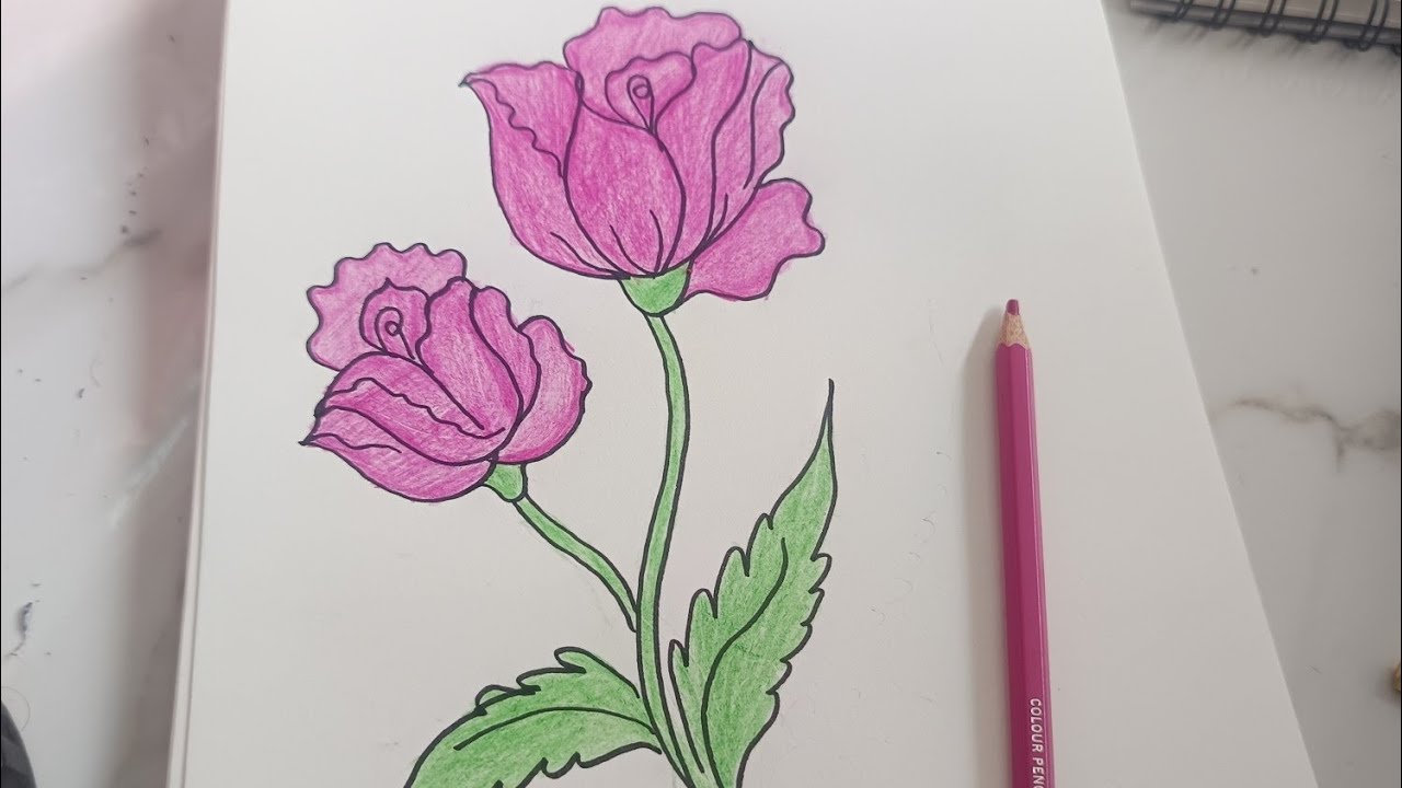 How to draw beautiful flowers 🌹