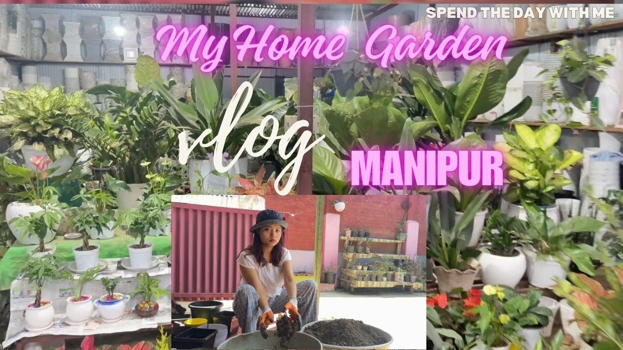 My Home Garden|Manipur #manipur #explorepage #youtube #fypシ 