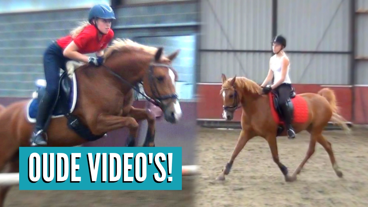 REAGEREN OP OUDE PAARDRIJ VIDEO'S! #01