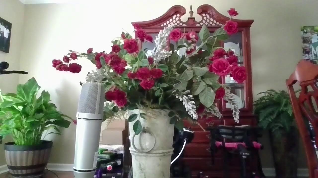 Welcome New Year 2026 | Silent LS | Live Streaming Love Each Other | Banana & WH 2026 | God is good