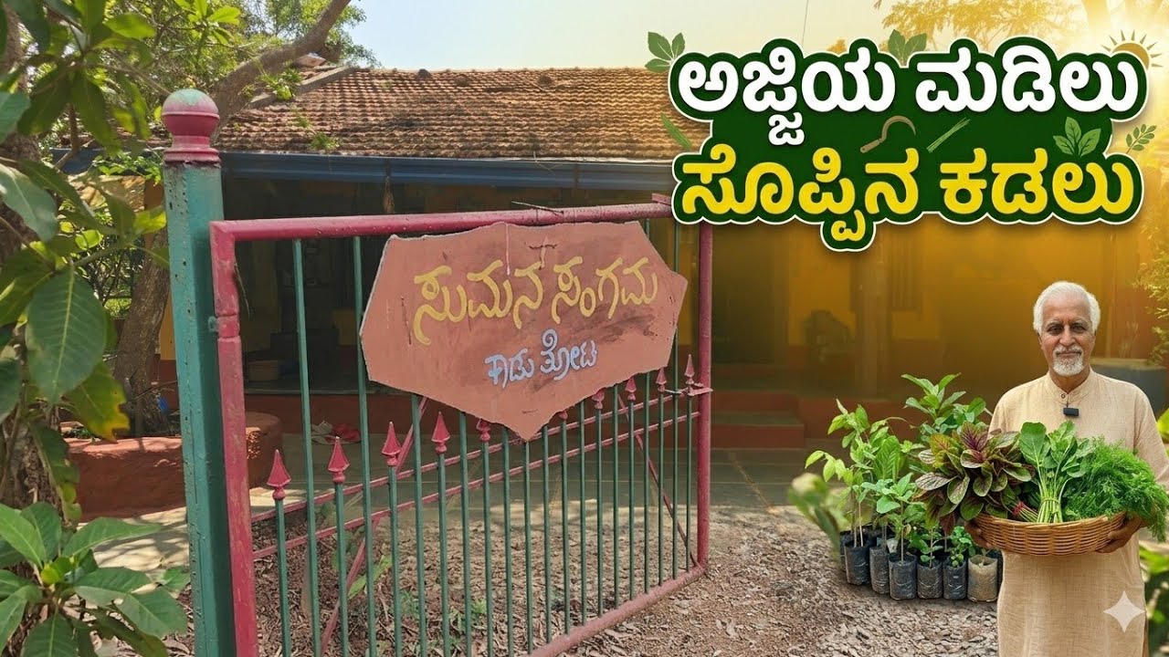ಅಜ್ಜಿಯ ಮಡಿಲು ಸೊಪ್ಪಿನ ಕಡಲು | ಸುಮನ ಸಂಗಮ ಕಾಡು ತೋಟ | Sumana Sangama Kādu Thota| Part - 2