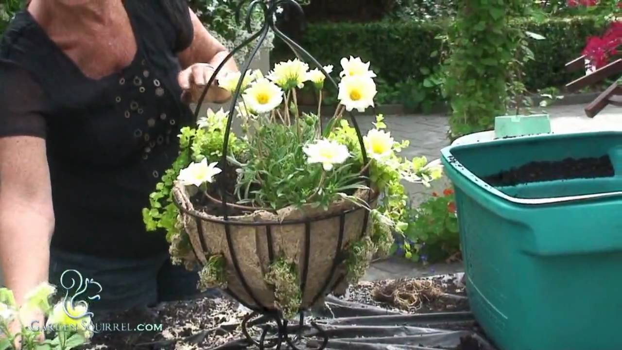 Hanging Planters - Advanced ( Gin & Tonic)