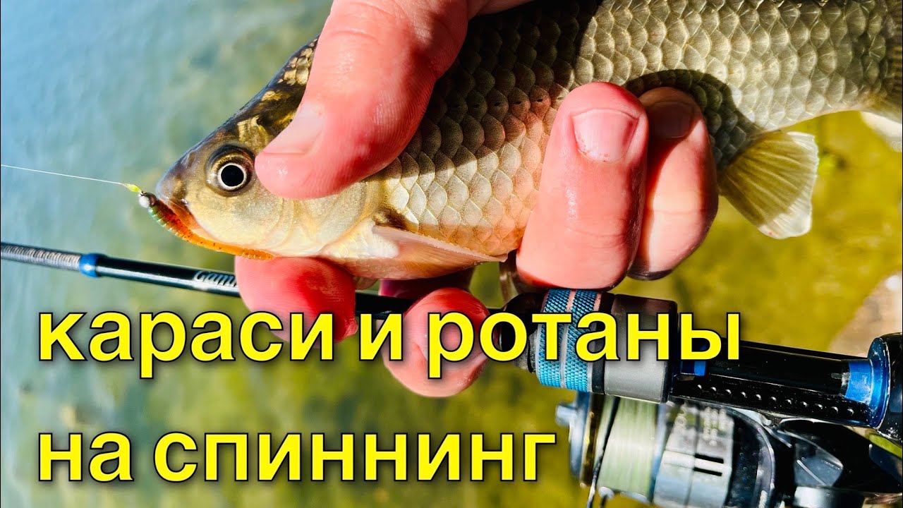 Караси и ротаны на спиннинг . Мормышинг