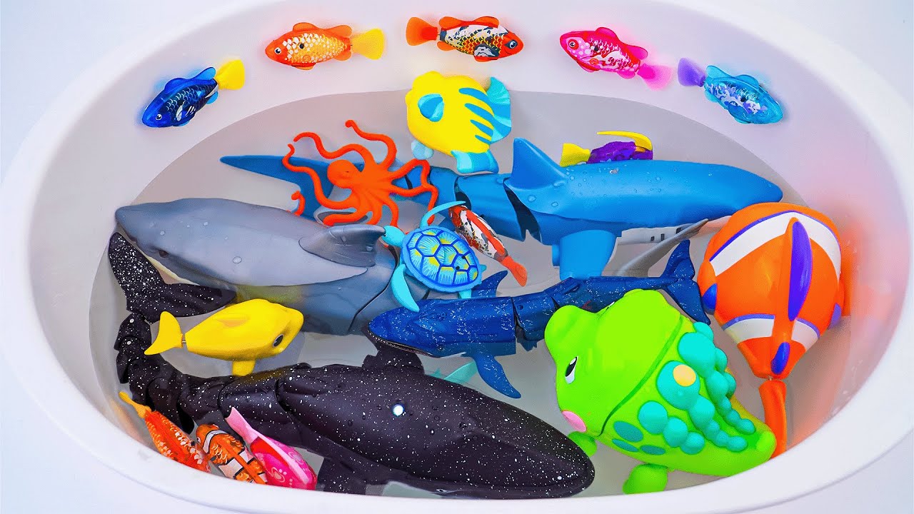 toy asmr | Zuru Robo Alive Shark & Aquarium Animal Playset ASMR Satisfying with Unboxing Review Toy