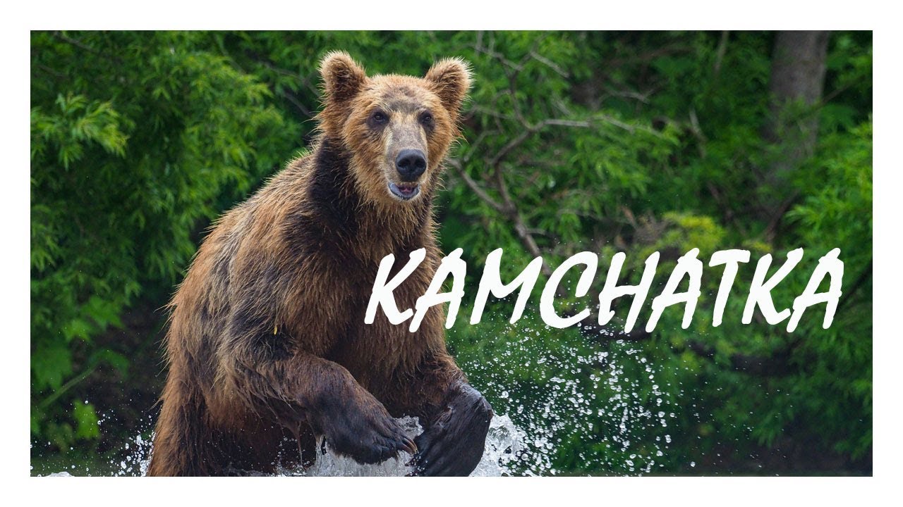 Wild Kamchatka | Olympus Wildlife Project by Marcin Dobas