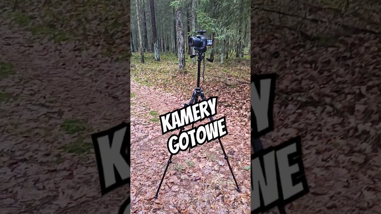 Zaczynamy nagrania test&oacute;w! Gate x Arcturus Trinity, A&K SR25 z kompozytu! #airsoft #ulatindustries