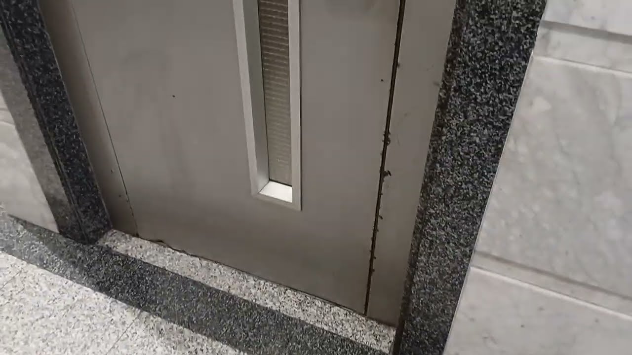 Early 1970s nice pair of TK elevators