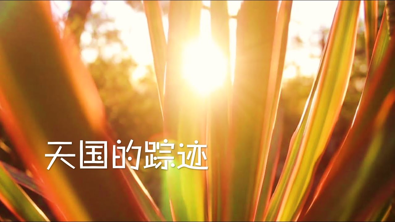 天国的踪迹