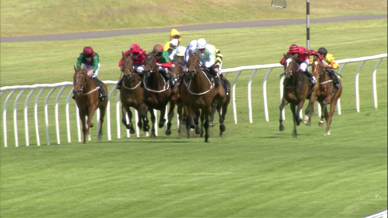 Birdseye view of Musselburgh Racecourse