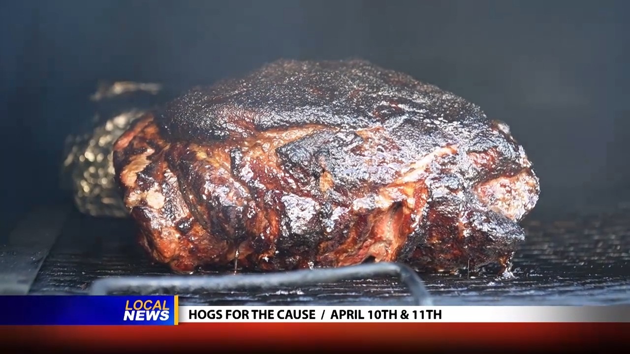 Hogs For The Cause Festival