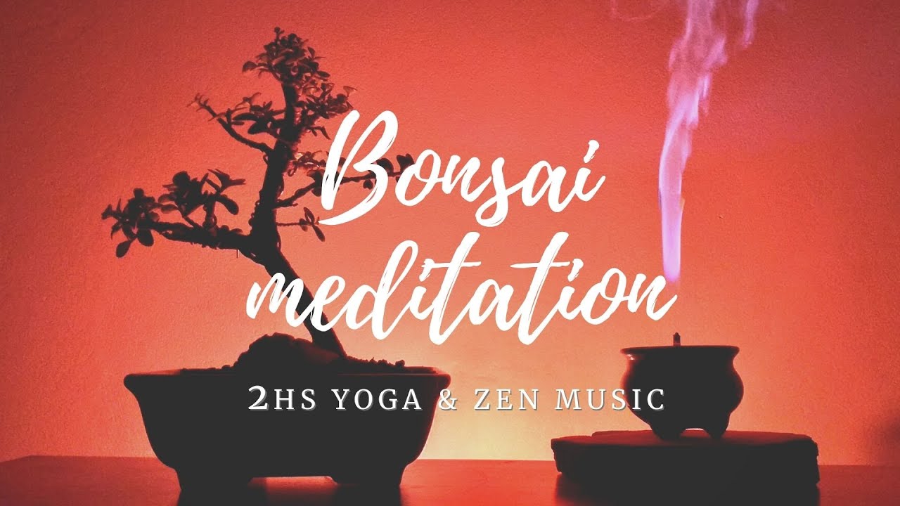 RELAXING MUSIC | 2HS Incense and Bonsai music ☮🧘🏻&zwj;♀️