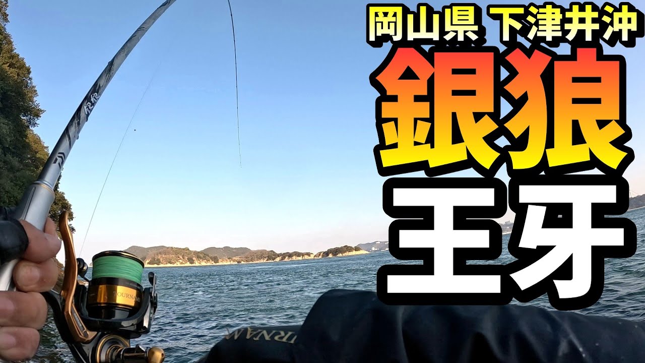 新しい銀狼王牙で好調な寒チヌを狙う！ in 岡山県下津井沖