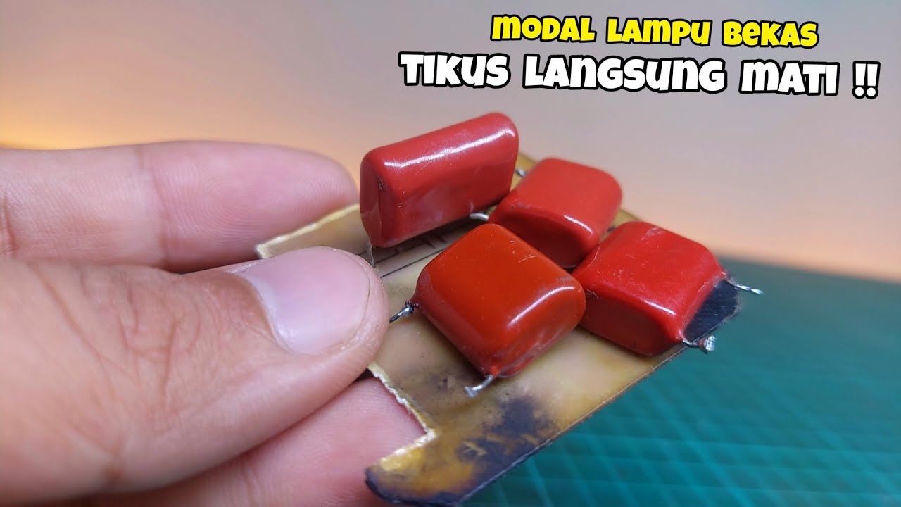 TERNYATA SEMUDAH INI BIKIN SETRUM TIKUS PAKAI LAMPU BEKAS !!