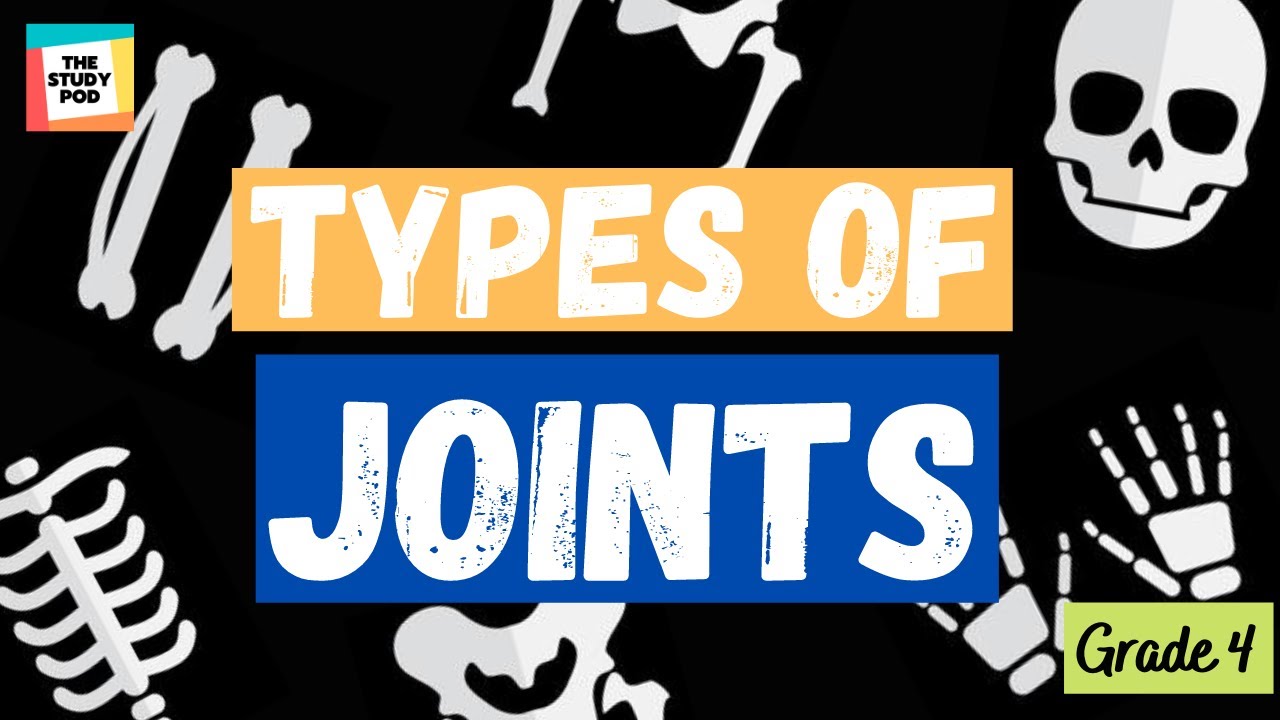 TYPES OF JOINTS | SCIENCE | GRADE 4 | The Study Pod