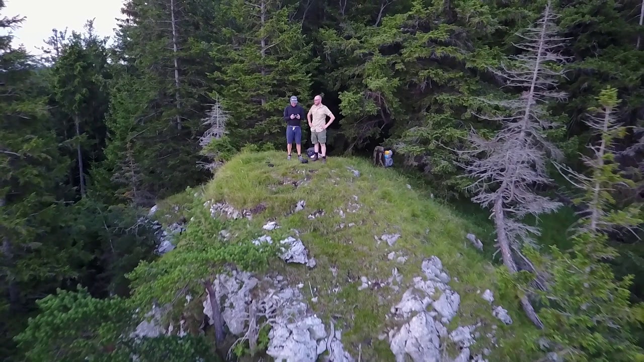 Im Wald über dem Schliersee