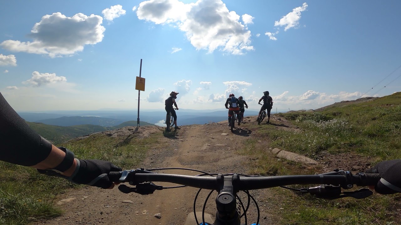 Easy Rider & Organic Åre 2021
