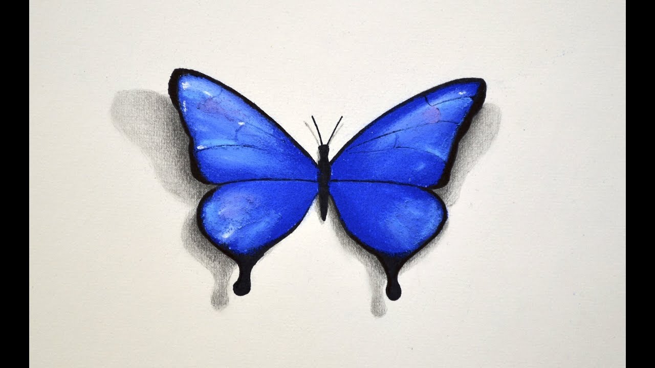 How to Draw a Butterfly With Pastel - Fine Art-Tips