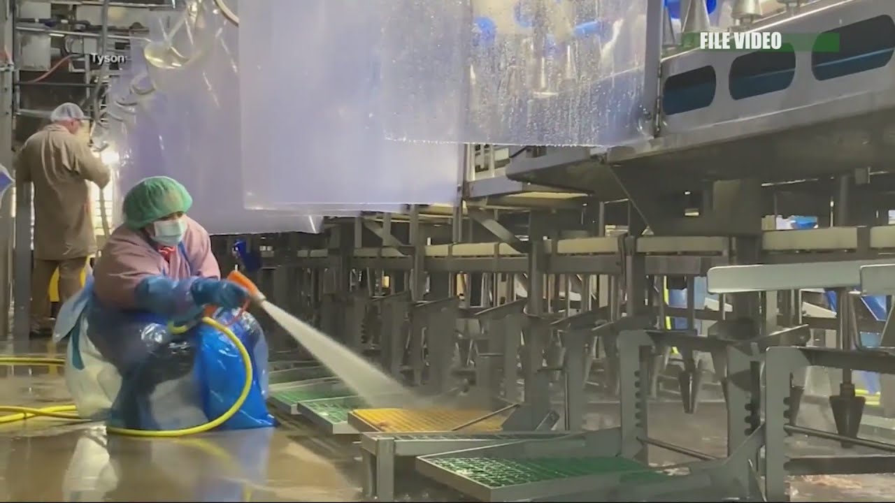 Pork producers want appeal of rule that slows down meat packing process