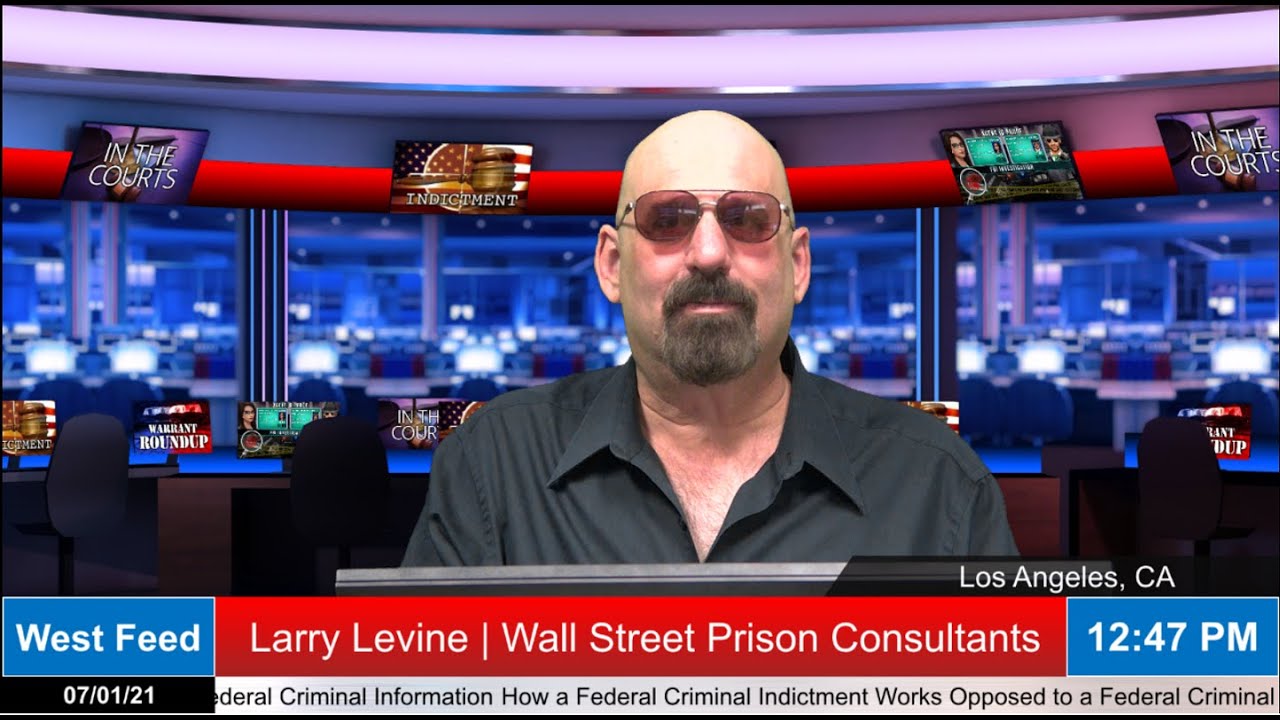 Unveiling the Federal Criminal Indictment Maze: Insight from Larry Levine