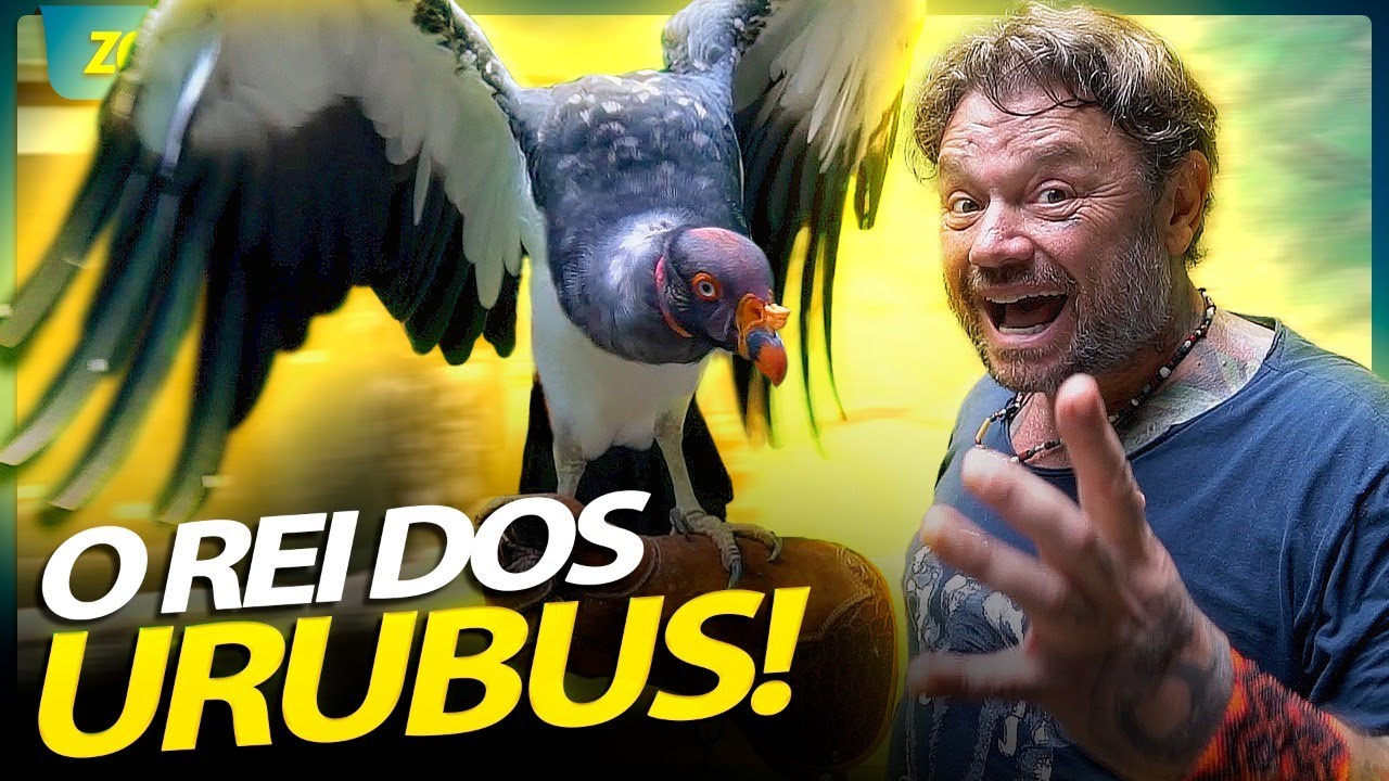 URUBU REI, O MAIS FORTE QUE EXISTE! | RICHARD RASMUSSEN