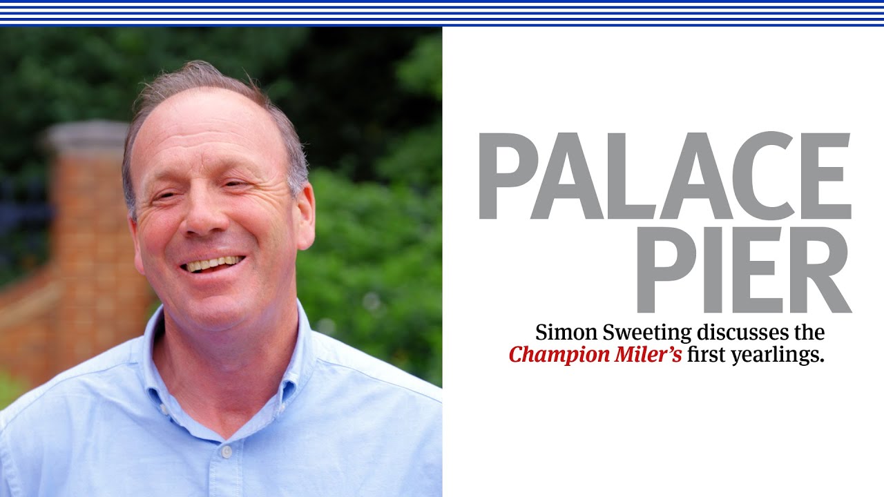 🇬🇧 Simon Sweeting discusses Palace Pier's first yearlings