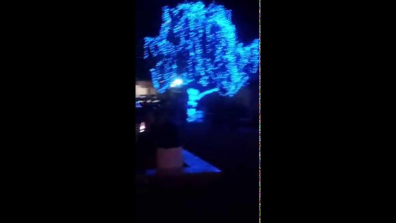 Locomotive Park Christmas Lights