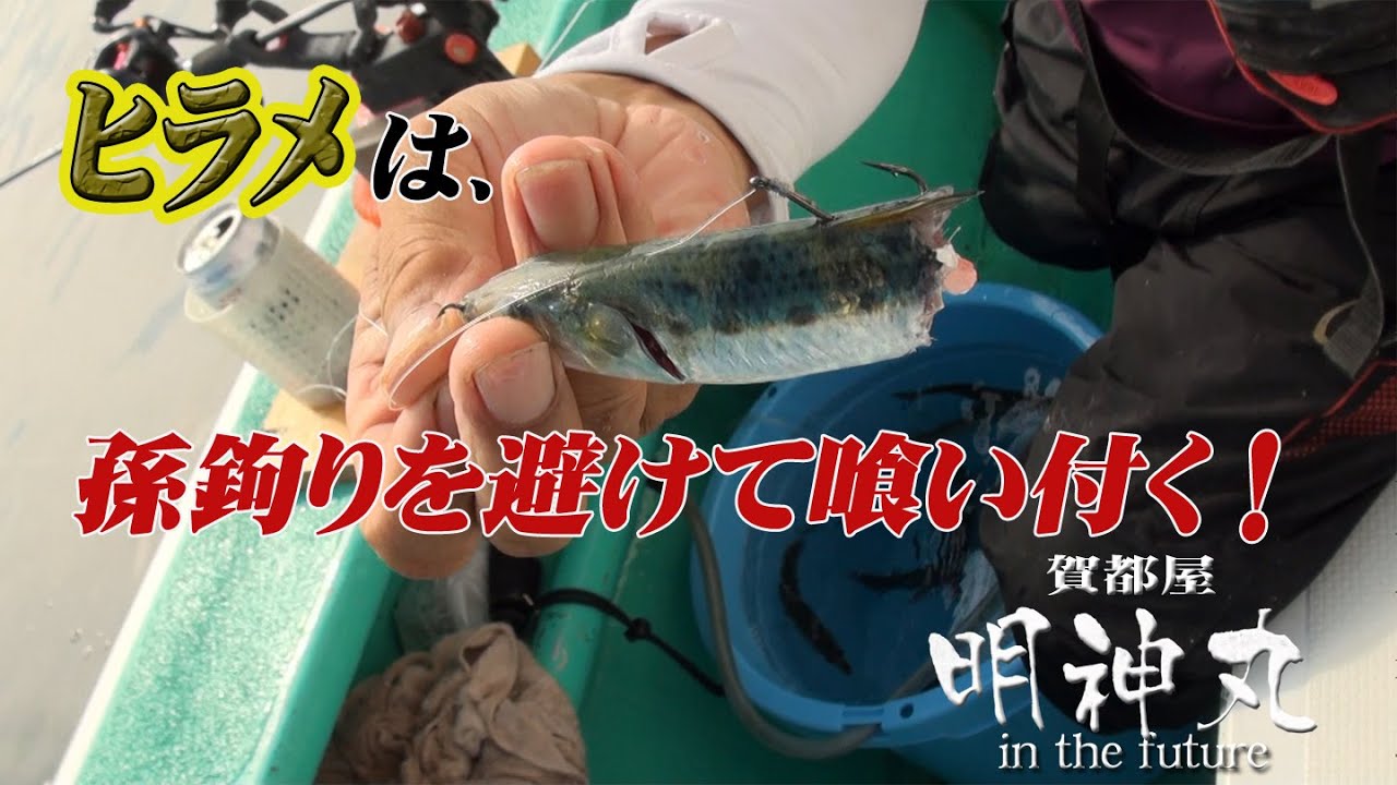 [イワシ五目] ヒラメは孫鉤りを避けて喰いついてくる～！
