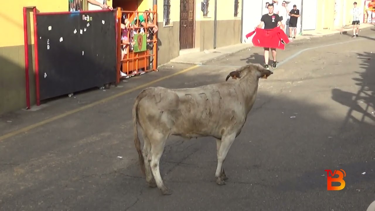 I Vaca de la Juventud “Bellísima” Benavente