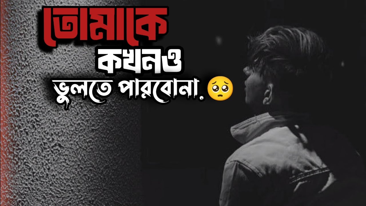 তোমাকে কখনো ভুলতে পারবো না / tomak kokhono vulte parbo na #storyoflife 