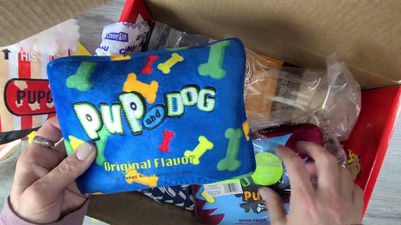 Unboxing of a Chewy Goody box