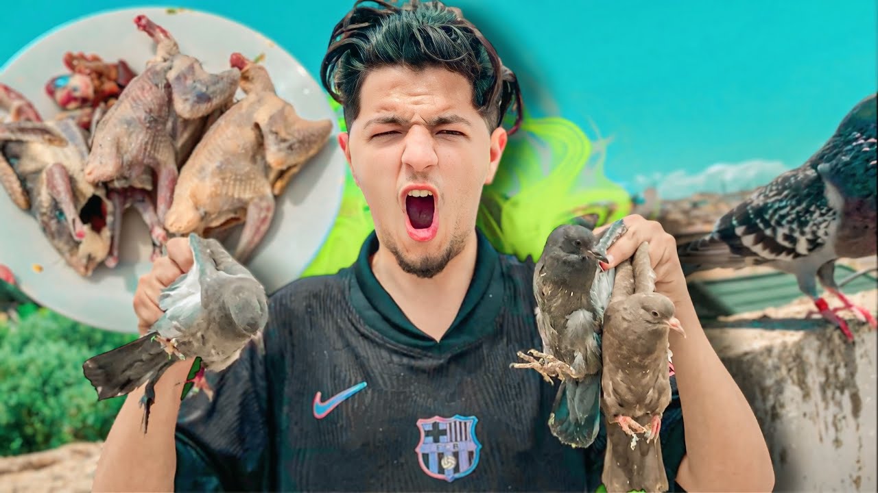 شريت الحمام البري 🤯 ‏آجي تشوف شنو درت لهم 😍