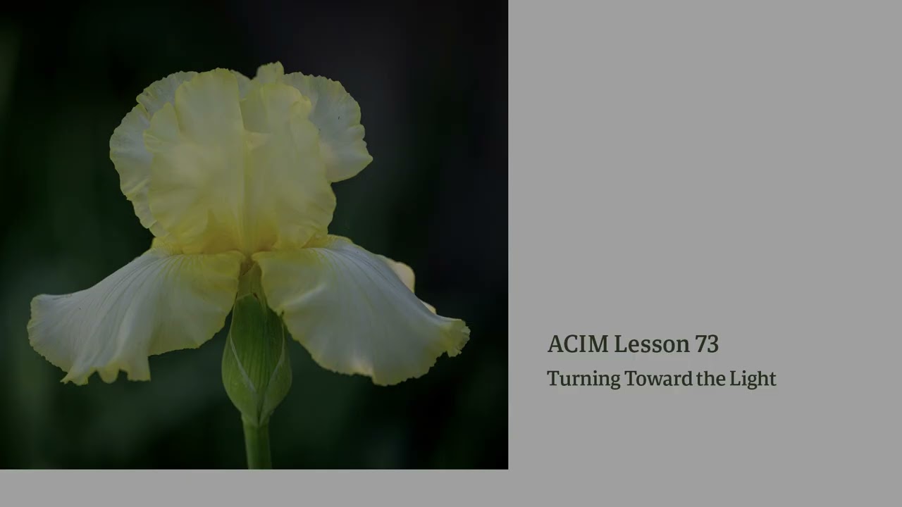 ACIM Lesson 73 — Turning Toward the Light  | Devotional Song