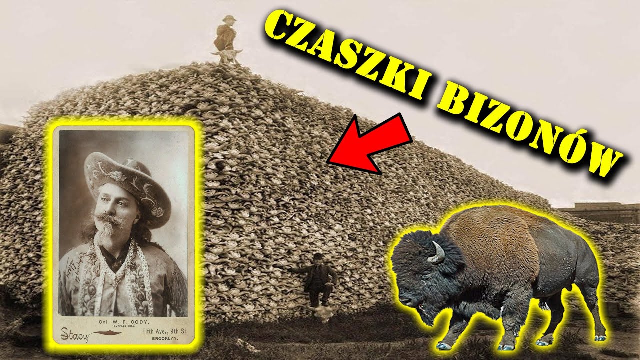 Ile Bizonów Zabił Buffalo Bill - Czyli Magia Dzikiego Zachodu