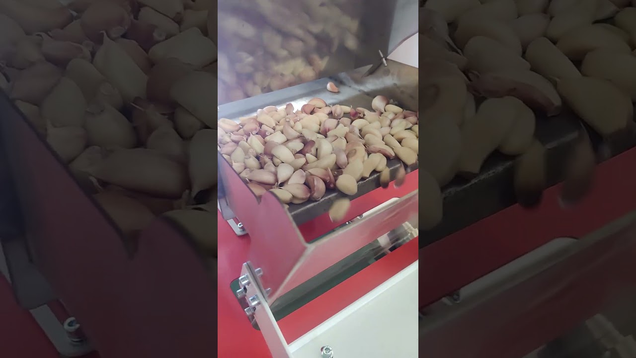 Garlic clove color sorter,condiment color sorter